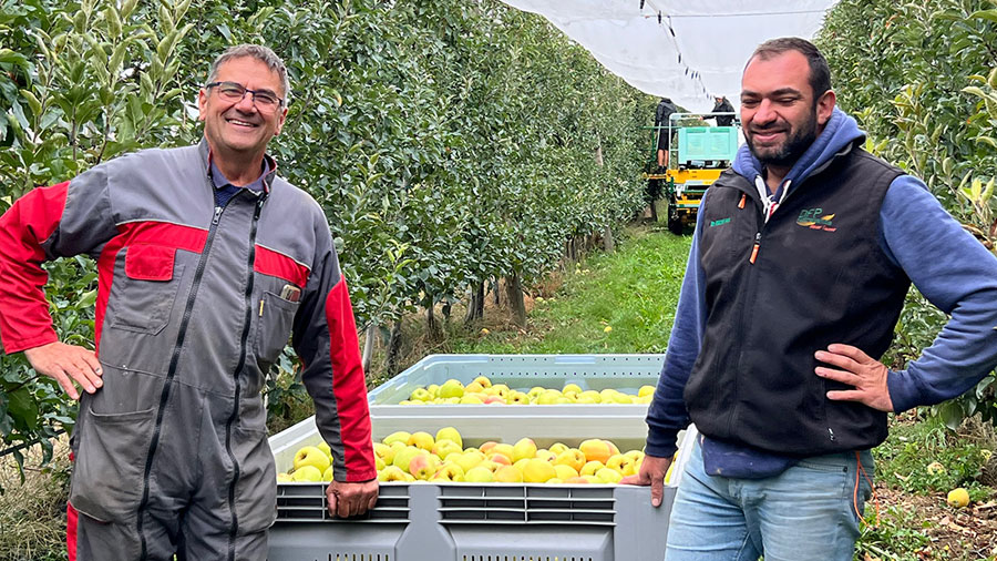 Régis et Nicolas Gorse, producteurs de pommes AOP du Limousin