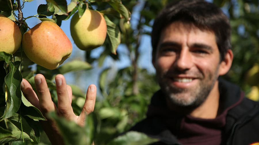 Jérôme Le Solliec, producteur de pommes AOP du Limousin