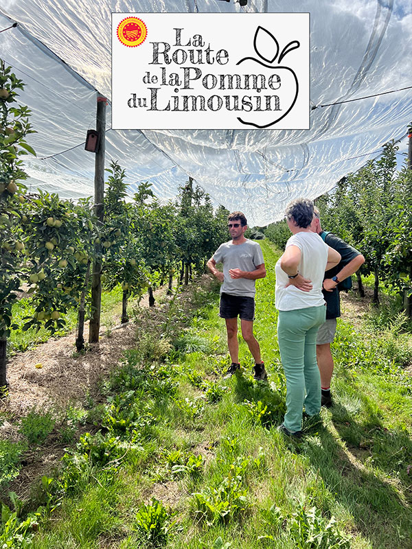 Route de la pomme du Limousin
